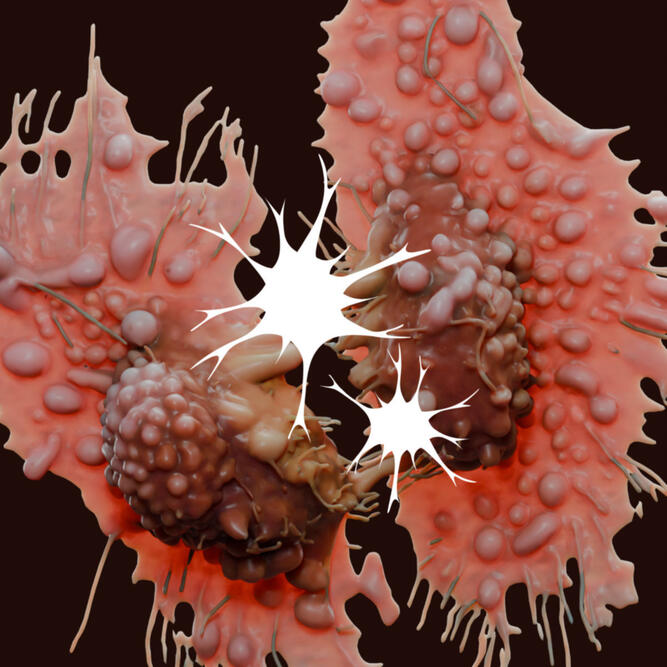 "Gig Regrets EP" [SNPS010]